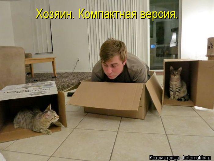 Котоматрица: Хозяин. Компактная версия.