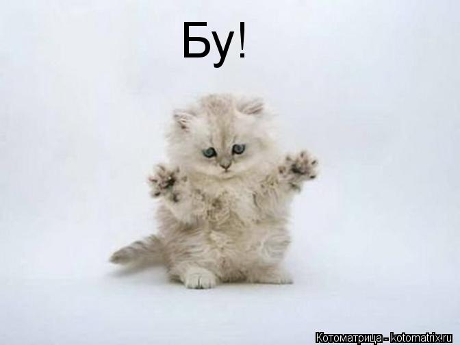 Бу!... Котоматрица: Бу!