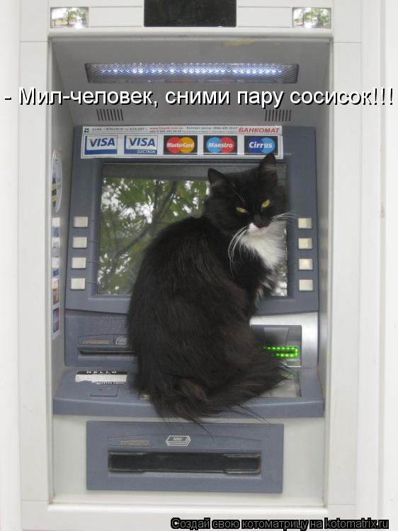 Котоматрица: - Мил-человек, сними пару сосисок!!!