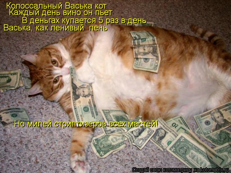 Колоссальный Васька кот Каждый день вино он пьет В деньгах купается 5 раз в день Васька, как ленивы... Котоматрица: Колоссальный Васька кот Каждый день вино он пьет В деньгах купается 5 раз в день Васька, как ленивый пень Но милей стриптизеров всех масте