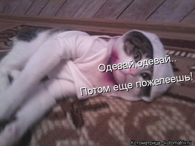 Одевай,одевай.. Потом еще пожелеешь!... Котоматрица: Одевай,одевай.. Потом еще пожелеешь!