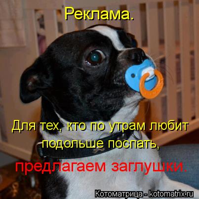 Реклама. Для тех, кто по утрам любит подольше поспать, предлагаем заглушки.... Котоматрица: Реклама. Для тех, кто по утрам любит подольше поспать, предлагаем заглушки.