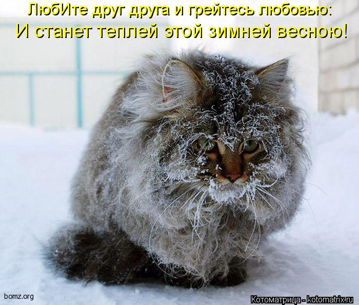 ЛюбИте друг друга и грейтесь любовью: И станет теплей этой зимней весною!... Котоматрица: ЛюбИте друг друга и грейтесь любовью: И станет теплей этой зимней весною!