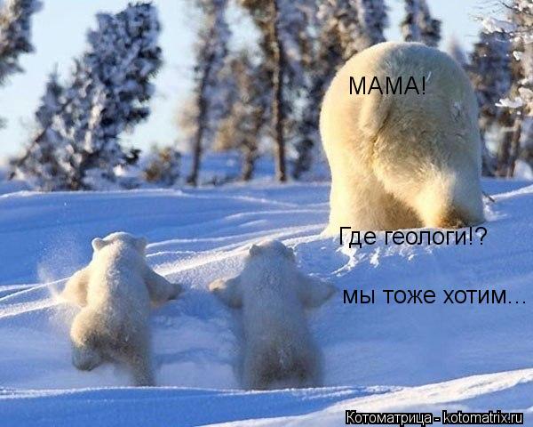 Котоматрица: МАМА! Где геологи!? мы тоже хотим...