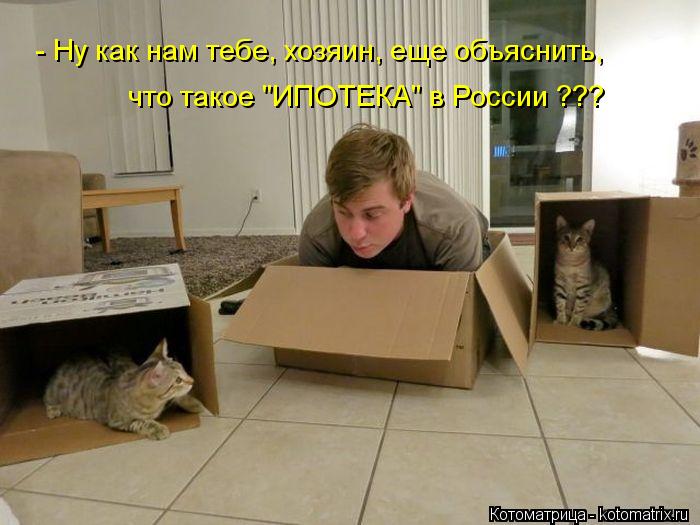 - Ну как нам тебе, хозяин, еще объяснить, что такое "ИПОТЕКА" в России ???... Котоматрица: - Ну как нам тебе, хозяин, еще объяснить, что такое "ИПОТЕКА" в России ???