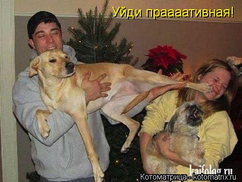 Уйди праааативная!... Котоматрица: Уйди праааативная!