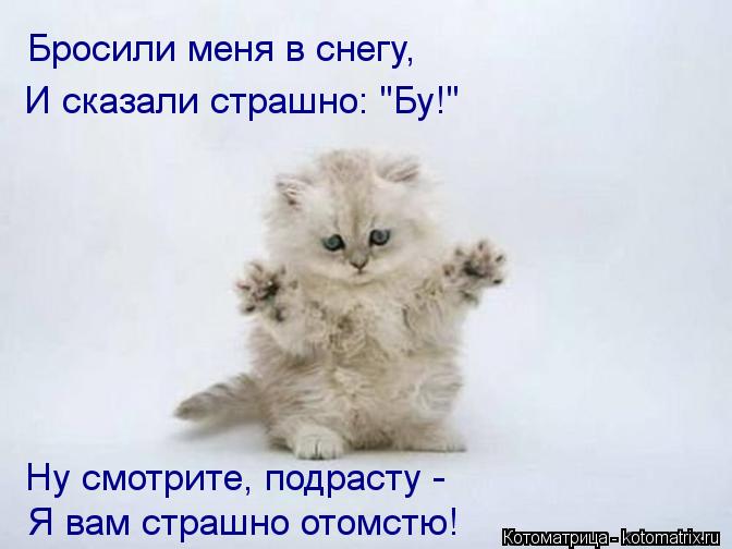Бросили меня в снегу, Бросили меня в снегу, И сказали страшно: "Бу!" Ну смотрите, подрасту - Я вам ст... Котоматрица: Бросили меня в снегу, Бросили меня в снегу, И сказали страшно: "Бу!" Ну смотрите, подрасту - Я вам страшно отомстю!