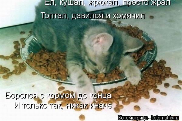 Топтал, давился и хомячил Ел, кушал, жрюкал, просто жрал Боролся с кормом до конца И только так, ника... Котоматрица: Топтал, давился и хомячил Ел, кушал, жрюкал, просто жрал Боролся с кормом до конца И только так, никак иначе