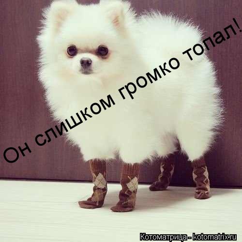 Он слишком громко топал!... Котоматрица: Он слишком громко топал!