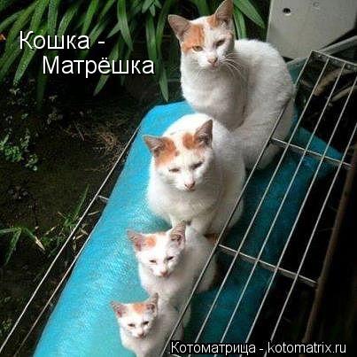 Котоматрица: Кошка - Матрёшка