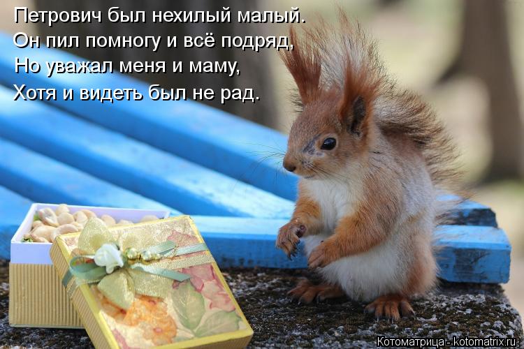 Котоматрица: Петрович был нехилый малый. Он пил помногу и всё подряд, Но уважал меня и маму, Хотя и видеть был не рад.