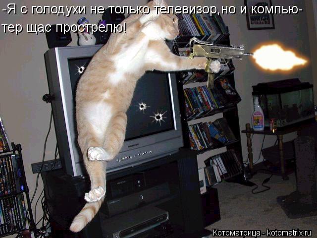 Котоматрица: -Я с голодухи не только телевизор,но и компью- тер щас прострелю!