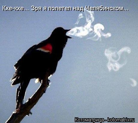 Кхе-кхе... Зря я полетел над Челябинском...... Котоматрица: Кхе-кхе... Зря я полетел над Челябинском...