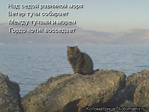 Над седой равниной моря Ветер тучи собирает Между тучами и морем Гордо котик восседает... Котоматрица: Над седой равниной моря Ветер тучи собирает Между тучами и морем Гордо котик восседает
