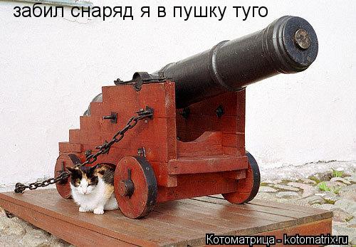 забил снаряд я в пушку туго... Котоматрица: забил снаряд я в пушку туго