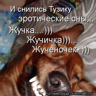 И снились Тузику эротические сны... Жучка....))) Жучичка)))... Жученочек..)))... Котоматрица: И снились Тузику эротические сны... Жучка....))) Жучичка)))... Жученочек..)))