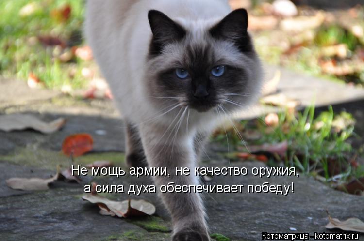 Не мощь армии, не качество оружия, а сила духа обеспечивает победу!... Котоматрица: Не мощь армии, не качество оружия, а сила духа обеспечивает победу!