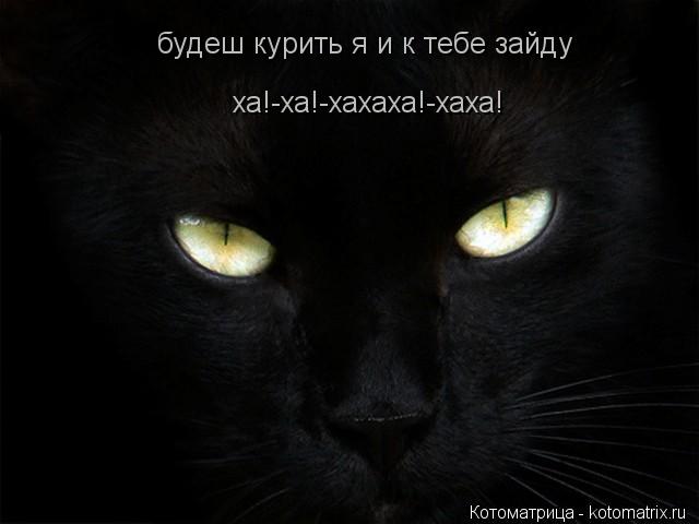 будеш курить я и к тебе зайду ха!-ха!-хахаха!-хаха!... Котоматрица: будеш курить я и к тебе зайду ха!-ха!-хахаха!-хаха!
