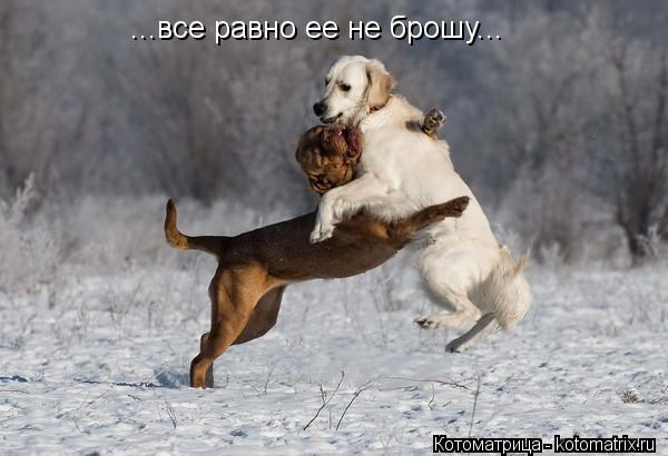 ...все равно ее не брошу...... Котоматрица: ...все равно ее не брошу...
