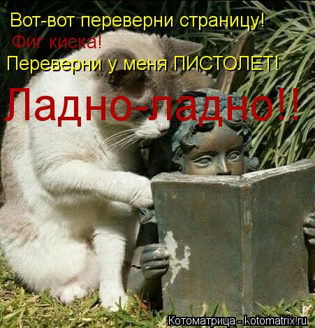 Вот-вот переверни страницу! Фиг киска! Переверни у меня ПИСТОЛЕТ! Ладно-ладно!!... Котоматрица: Вот-вот переверни страницу! Фиг киска! Переверни у меня ПИСТОЛЕТ! Ладно-ладно!!