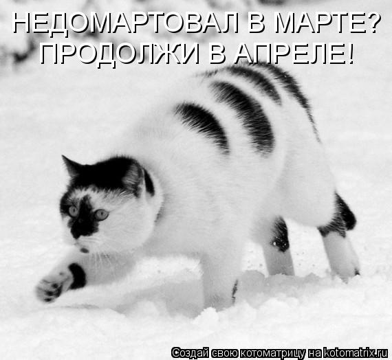 НЕДОМАРТОВАЛ В МАРТЕ? ПРОДОЛЖИ В АПРЕЛЕ!... Котоматрица: НЕДОМАРТОВАЛ В МАРТЕ? ПРОДОЛЖИ В АПРЕЛЕ!