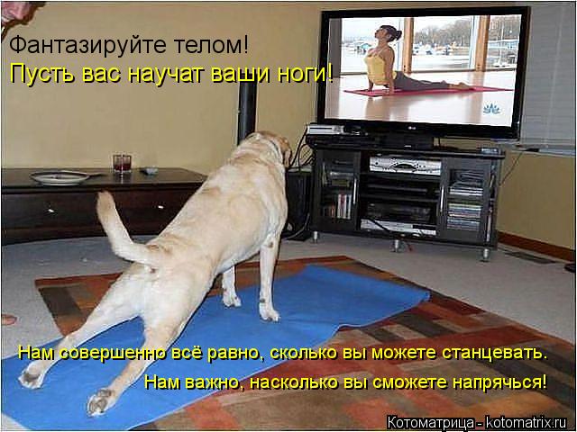 Котоматрица: Фантазируйте телом! Пусть вас научат ваши ноги! Нам совершенно всё равно, сколько вы можете станцевать.  Нам важно, насколько вы сможете нап