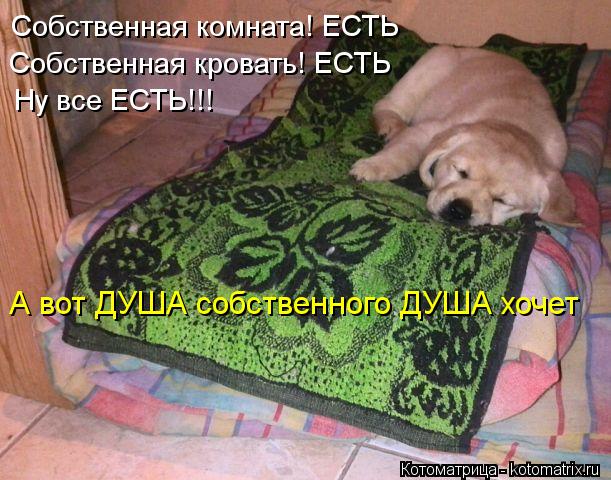 Котоматрица: Собственная комната! ЕСТЬ Собственная кровать! ЕСТЬ Ну все ЕСТЬ!!! А вот ДУША собственного ДУША хочет