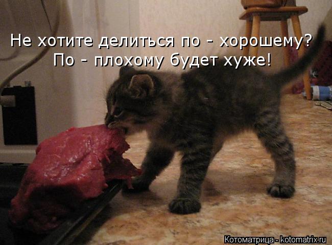 Котоматрица: Не хотите делиться по - хорошему? По - плохому будет хуже!