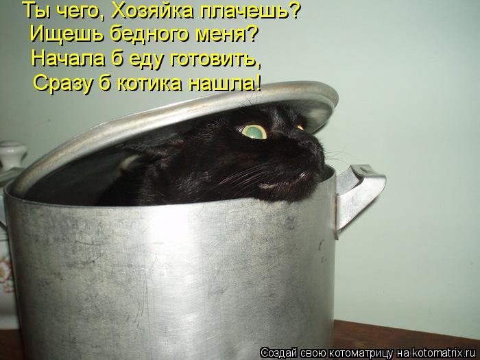 Котоматрица: Ты чего, Хозяйка плачешь? Ищешь бедного меня? Начала б еду готовить, Сразу б котика нашла!