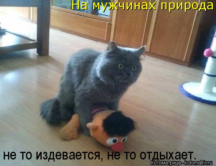 На мужчинах природа не то издевается, не то отдыхает.... Котоматрица: На мужчинах природа не то издевается, не то отдыхает.