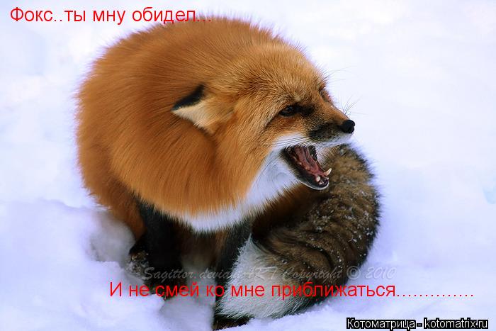 И не смей ко мне приближаться.............. Фокс..ты мну обидел...... Котоматрица: И не смей ко мне приближаться.............. Фокс..ты мну обидел...