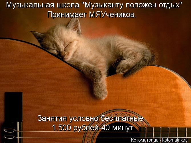 Музыкальная школа "Музыканту положен отдых" Принимает МЯУчеников. Занятия условно бесплатные 1.500 р... Котоматрица: Музыкальная школа "Музыканту положен отдых" Принимает МЯУчеников. Занятия условно бесплатные 1.500 рублей-40 минут