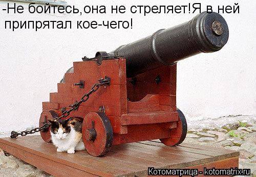 Котоматрица: -Не бойтесь,она не стреляет!Я в ней припрятал кое-чего!