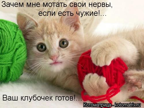 если есть чужие!... Ваш клубочек готов!... Зачем мне мотать свои нервы,... Котоматрица: если есть чужие!... Ваш клубочек готов!... Зачем мне мотать свои нервы,