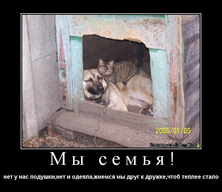 Мы семья! нет у нас подушки,нет и одеяла,жмемся мы друг к дружке,чтоб теплее стало... Котоматрица: Мы семья! нет у нас подушки,нет и одеяла,жмемся мы друг к дружке,чтоб теплее стало