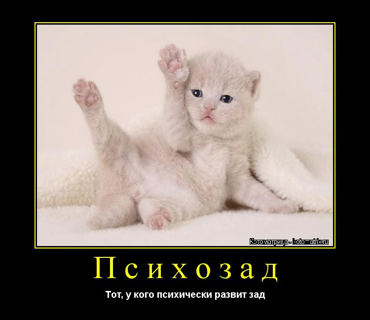 Психозад Тот, у кого психически развит зад... Котоматрица: Психозад Тот, у кого психически развит зад