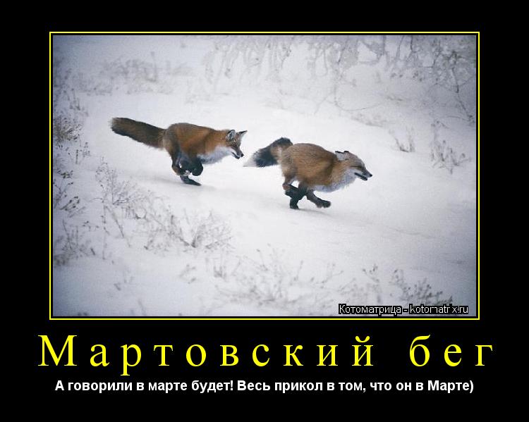 Мартовский бег А говорили в марте будет! Весь прикол в том, что он в Марте)... Котоматрица: Мартовский бег А говорили в марте будет! Весь прикол в том, что он в Марте)