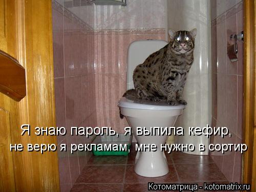 Я знаю пароль, я выпила кефир, не верю я рекламам, мне нужно в сортир... Котоматрица: Я знаю пароль, я выпила кефир, не верю я рекламам, мне нужно в сортир
