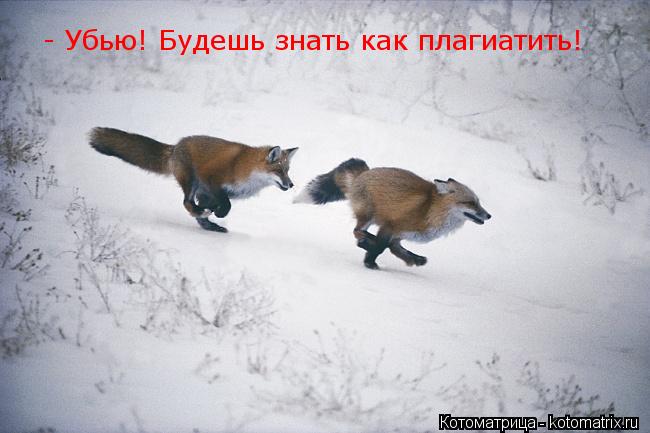 - Убью! Будешь знать как плагиатить!... Котоматрица: - Убью! Будешь знать как плагиатить!