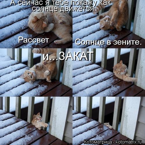 Котоматрица: А сейчас я тебе покажу как  солнце движется.  Рассвет Солнце в зените. и...ЗАКАТ