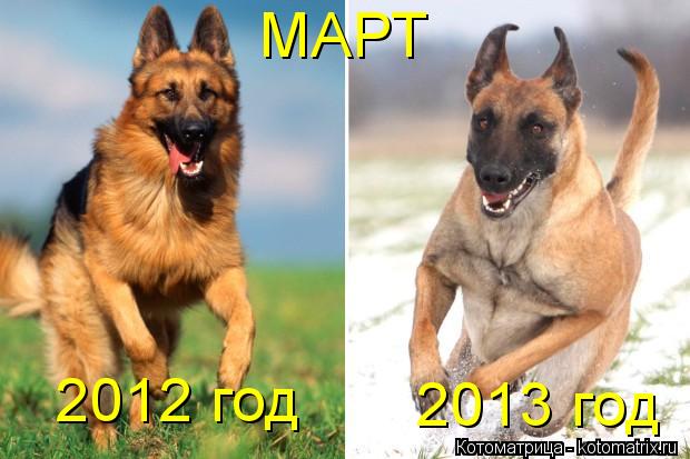 МАРТ 2013 год 2012 год... Котоматрица: МАРТ 2013 год 2012 год
