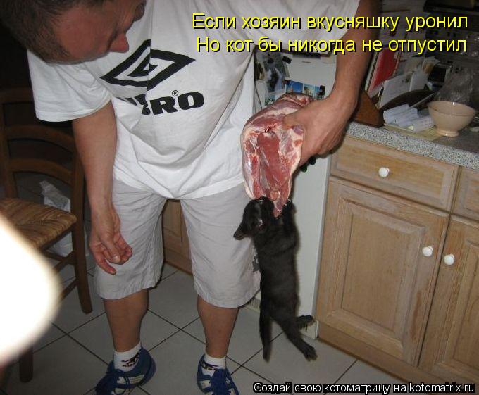 Если хозяин вкусняшку уронил Но кот бы никогда не отпустил... Котоматрица: Если хозяин вкусняшку уронил Но кот бы никогда не отпустил