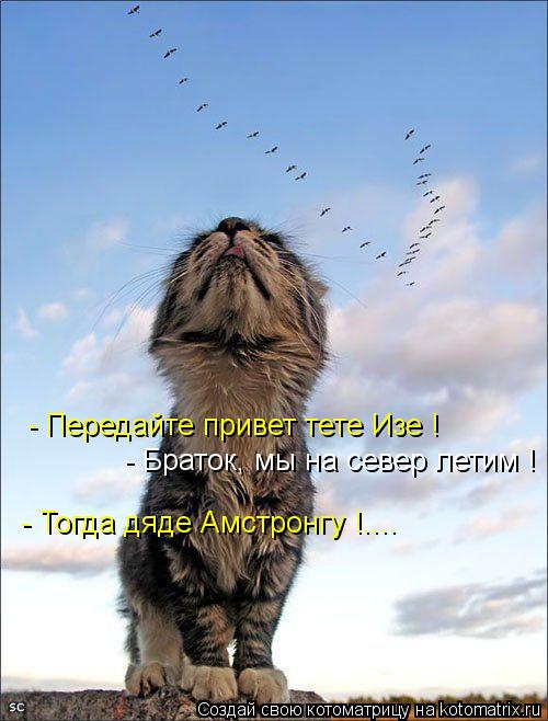 - Передайте привет тете Изе ! - Браток, мы на север летим ! - Тогда дяде Амстронгу !....... Котоматрица: - Передайте привет тете Изе ! - Браток, мы на север летим ! - Тогда дяде Амстронгу !....