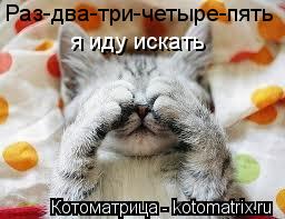 Раз-два-три-четыре-пять я иду искать... Котоматрица: Раз-два-три-четыре-пять я иду искать