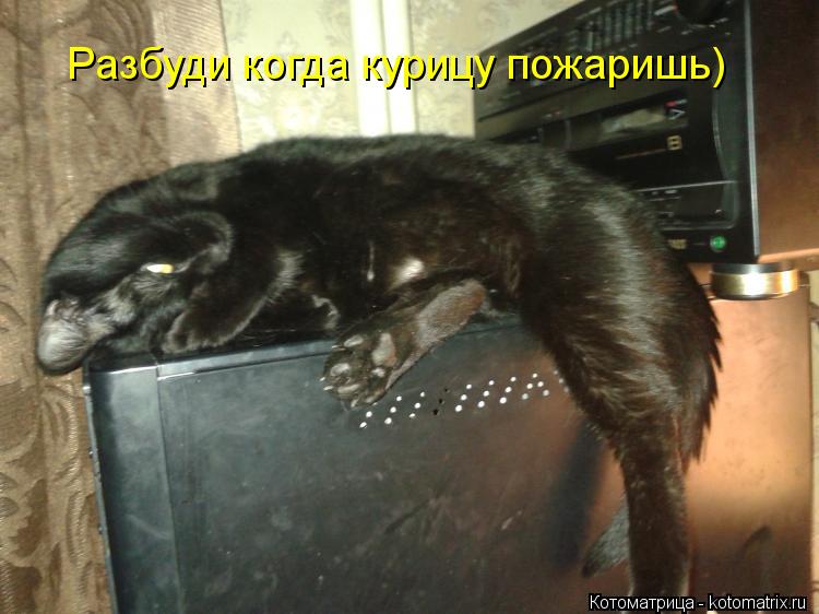 Разбуди когда курицу пожаришь)... Котоматрица: Разбуди когда курицу пожаришь)