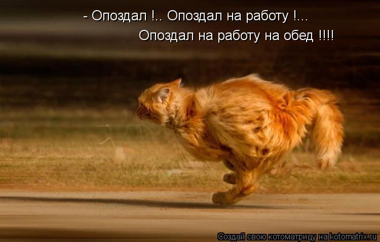 Котоматрица: - Опоздал !.. Опоздал на работу !... Опоздал на работу на обед !!!!