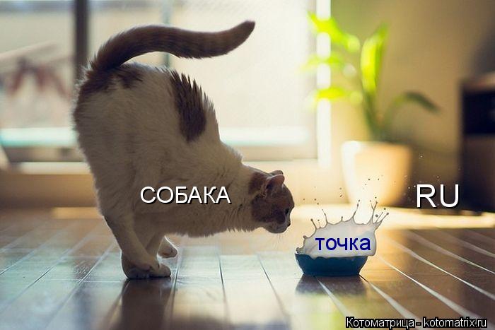 CОБАКА точка RU... Котоматрица: CОБАКА точка RU