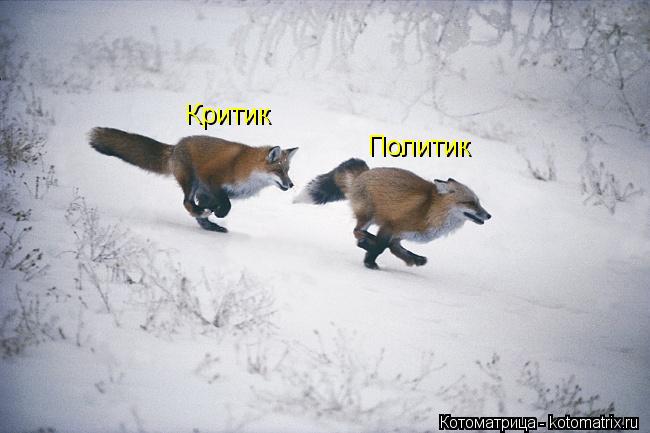 Политик Критик... Котоматрица: Политик Критик