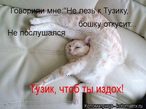 Говорили мне:"Не лезь к Тузику, бошку откусит... ... Не послушался Тузик, чтоб ты издох!... Котоматрица: Говорили мне:"Не лезь к Тузику, бошку откусит... ... Не послушался Тузик, чтоб ты издох!