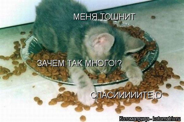 Котоматрица: МЕНЯ ТОШНИТ ЗАЧЕМ ТАК МНОГО!? СПАСИИИИИТЕ:D